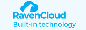 Raven Cloud Technology Logo